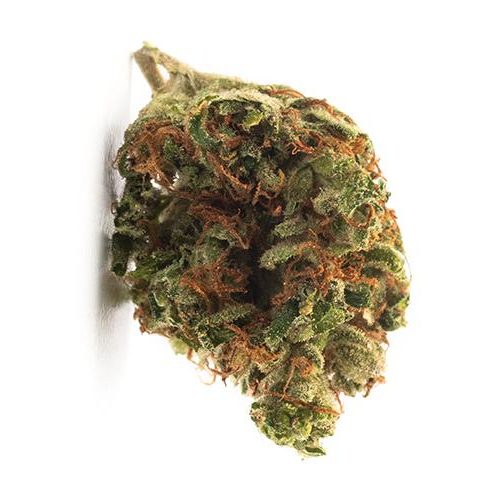 Indica-Dominant TWD INDICA (BLEND) by TWD THC 14-24% CBD 0-0.1%
