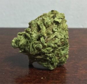 WATERMELON ZKITTLEZ by Tenzo 11 Watermelon Strain