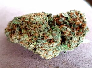 Watermelon Strain5