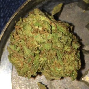 WATERMELON ZKITTLEZ by Tenzo 7 Zkittlez Strain