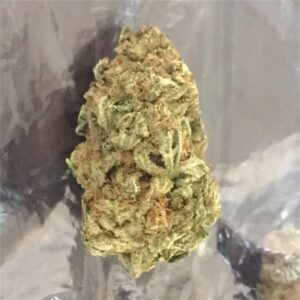 WATERMELON ZKITTLEZ by Tenzo 8 Zkittlez Strain