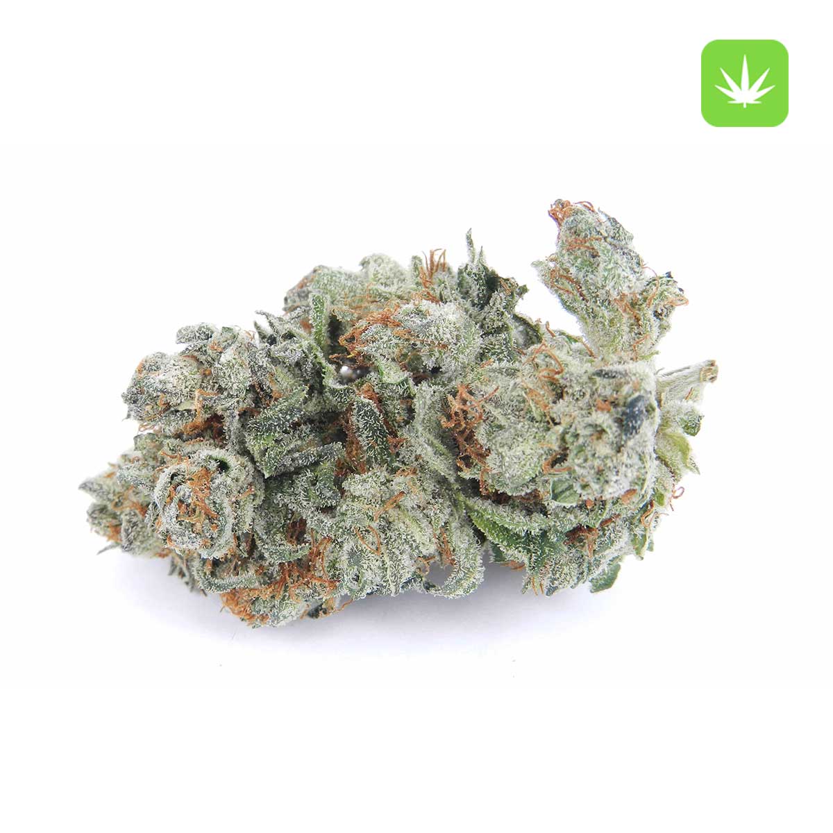 Cotton Candy Kush (Hybrid)