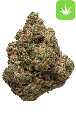 Buy Headband Strain (Hybrid)