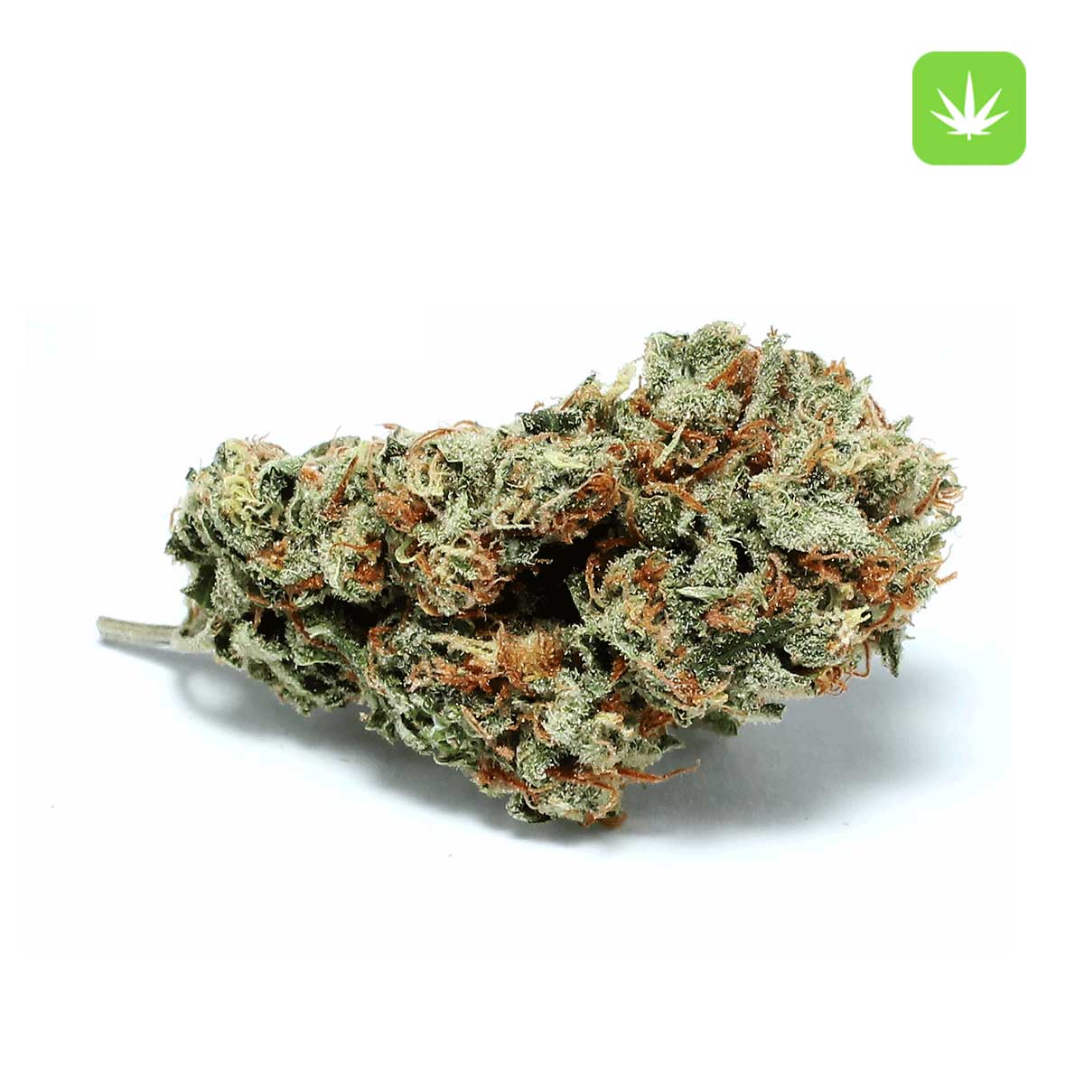 Super Lemon Haze (Hybrid)